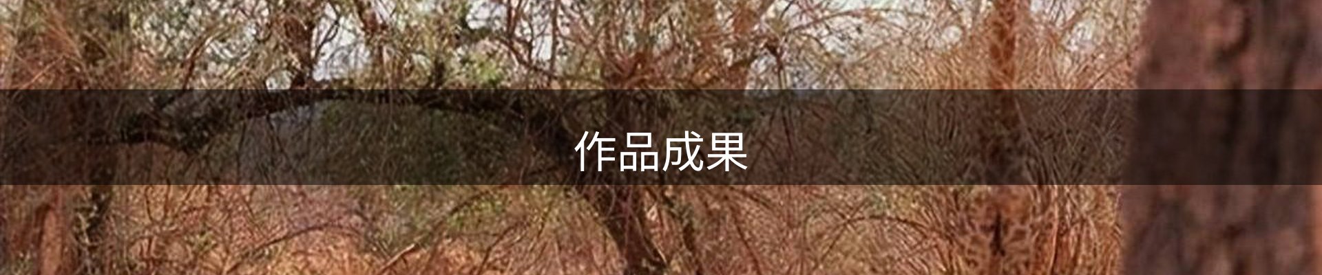作品成果